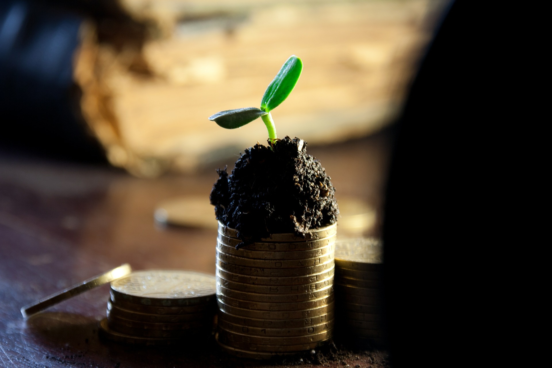 Vemos uma pilha de moedas com um pouco de terra em cima e uma planta nascendo (imagem ilustrativa). Texto: pequenas franquias lucrativas.