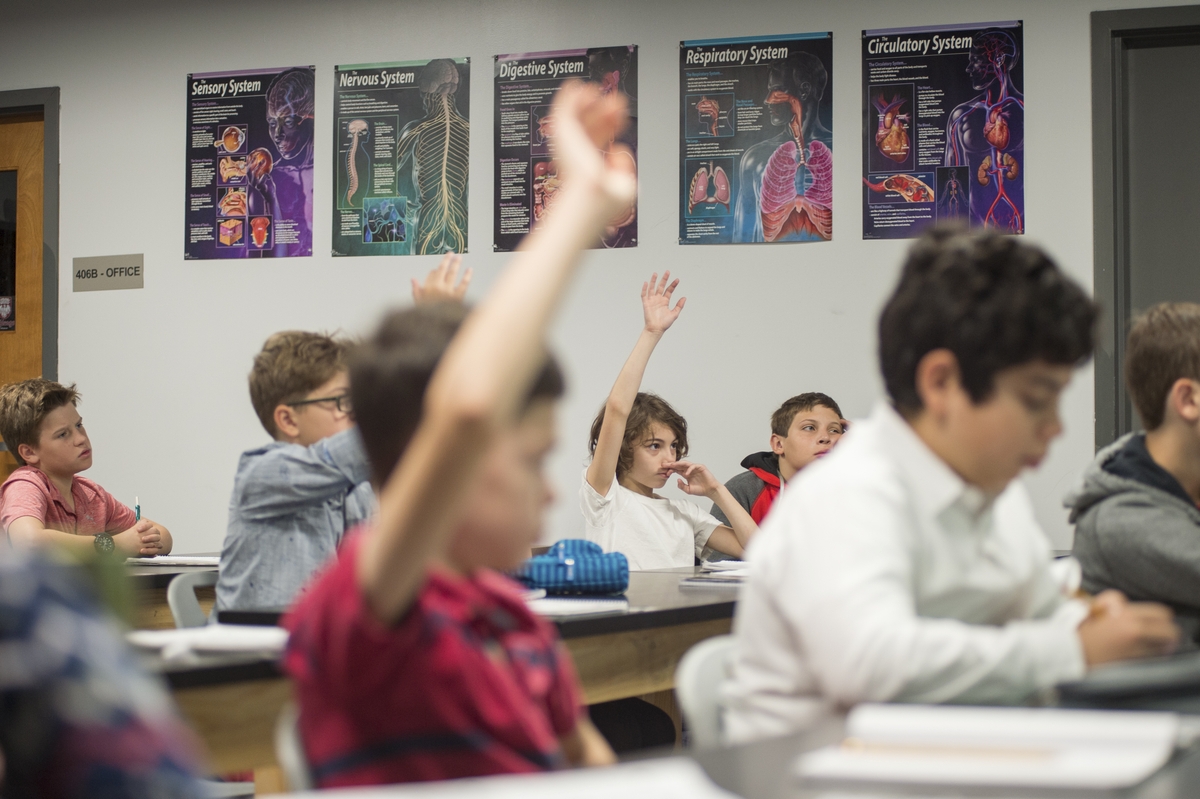 Grupo de crianças em sala de aula e algumas delas com mãos levantadas para perguntar. Ilustração do texto sobre franquia de educação fundamental.
