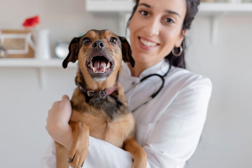 farmacia de manipulação veterinária